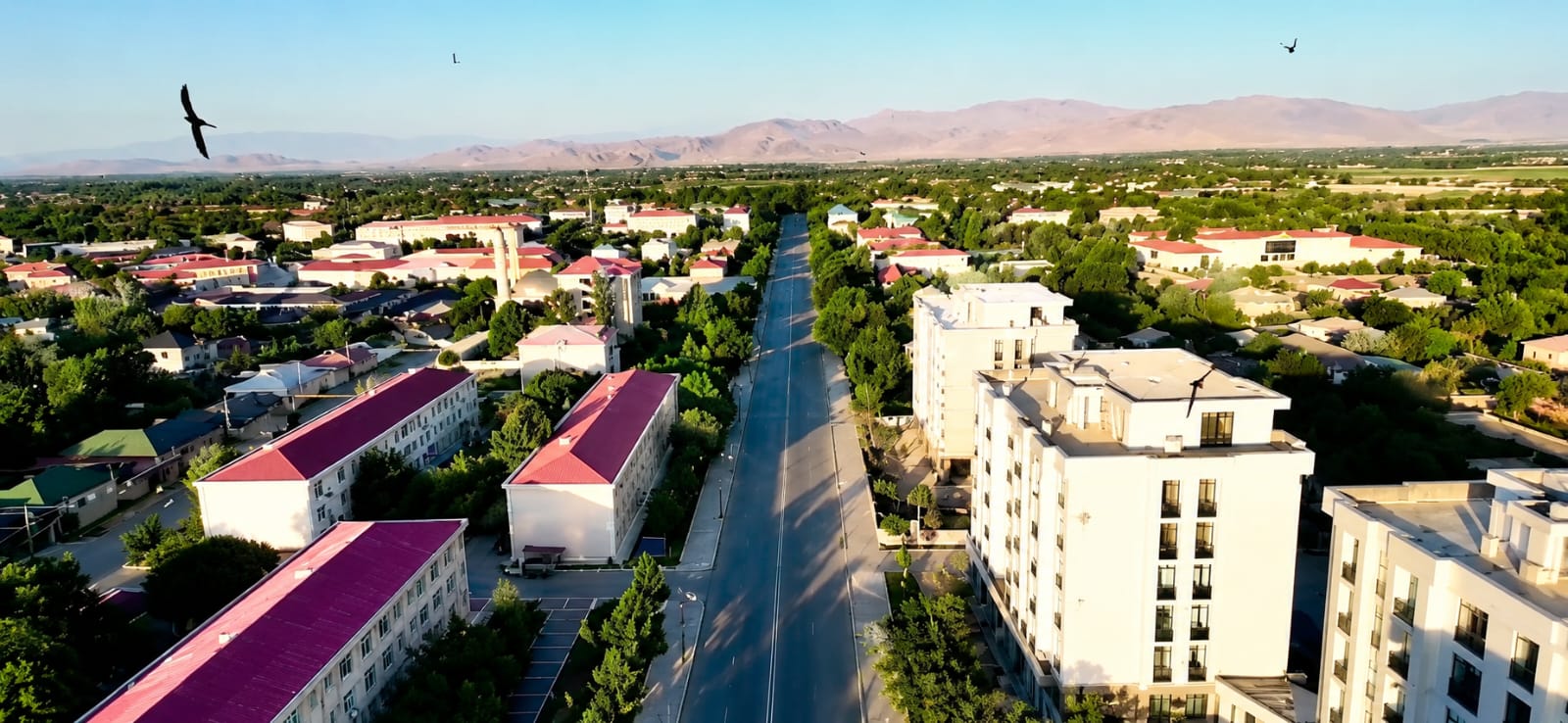 Daşarx İqtisadiyyatı